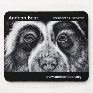 Mousemat with Andean bear illustration