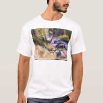 Rogue River Afternoon t-shirts