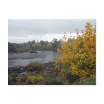 Rogue River, Grants Pass. Or. postcards