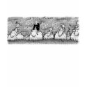 Rogues Of Wool T-Shirt II