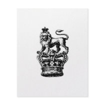 ROI DE LION flyers by wolfandbird ROI DE LION flyers