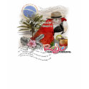 rojo go t-shirts