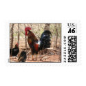 Rojo the Rooster postage