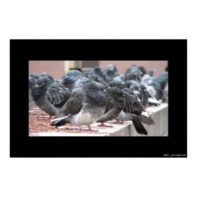 rollcall print by emoticant