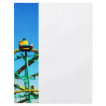 Roller Coaster Flyer Design