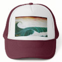 Roller TSBarry '06 hats