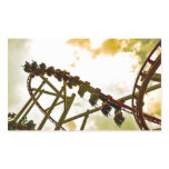 Rollercoaster Sticker