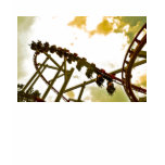 Rollercoaster T-shirt