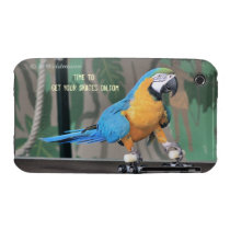 Rollerskating Parrot Case Iphone 3 Case-mate Cases