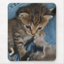 "Rollicking Kitten" Mousepad mousepads