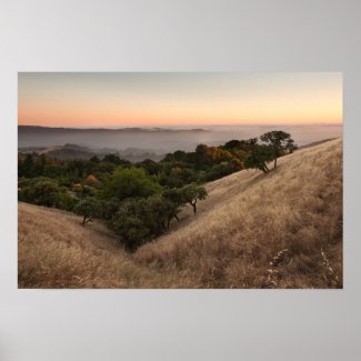 Rolling California hillside at sunset