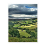 Rolling countryside view postcard