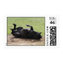 Rolling Horse postage