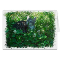Rolling in Clover cards