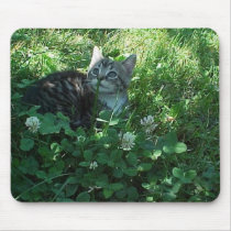 Rolling in Clover mousepads