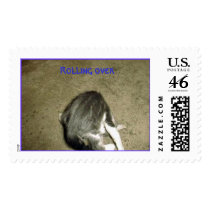 Rollover, Rolling over postage by phxdevil Rollover, Rolling over postage