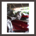 RollRoyce Girl posters