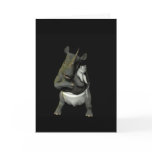 Rolly~Baby Cards