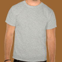 ROMA Italy t-shirts