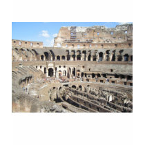 Roma t-shirts