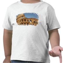 Roman Art. The Colosseum or Flavian 4 T Shirts