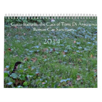Roman Cat 2014 Sanctuary Calender Calendars