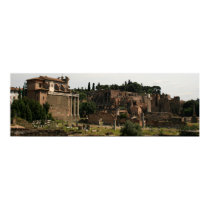 Roman Forum Panorama posters
