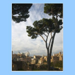 Roman Forum postcards