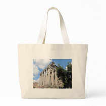 Roman Forum - Temple of Antoninus bags