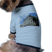 Roman Forum - Temple of Antoninus pet clothing