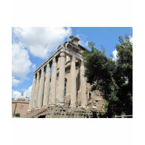 Roman Forum - Temple of Antoninus t-shirts