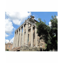 Roman Forum - Temple of Antoninus t-shirts