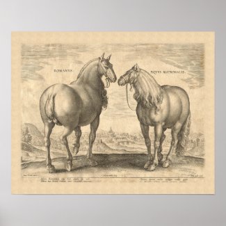Roman Horses Antique Print
