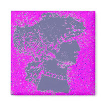Roman Profile Blue magnets