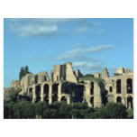 Roman ruins, Rome, Italy Personalized Flyer