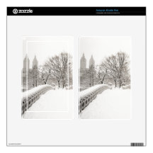 Romance del invierno del Central Park - puente del Skin Para Kindle Fire