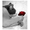 romance is everywhere t-shirts by JoJy45 romance is everywhere t-shirts