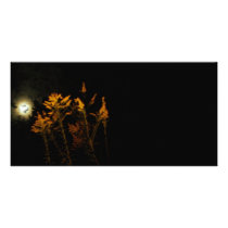 Romance photo cards