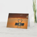 Romancing Swans Greeting Card card