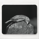 Romancing the Stump Mouse Pads
