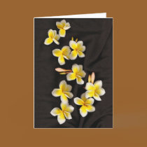 Romancing the Way cards
