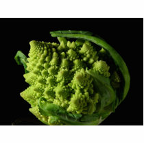 Romanesco Broccoli Fractals photo sculptures by lifesphere Romanesco Broccoli Fractals photo sculptures