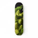 Romanesco Broccoli Skateboard