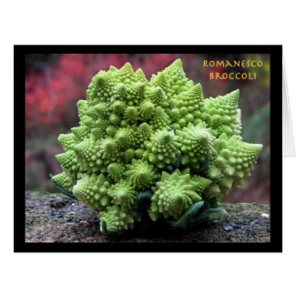 Romanesco Broccoli Vegetable
