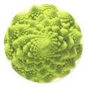 romanesco-phi stickers