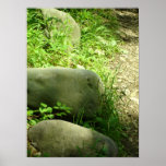 Romanian Countryside Rocks Poster