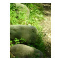 Romanian Countryside Rocks posters
