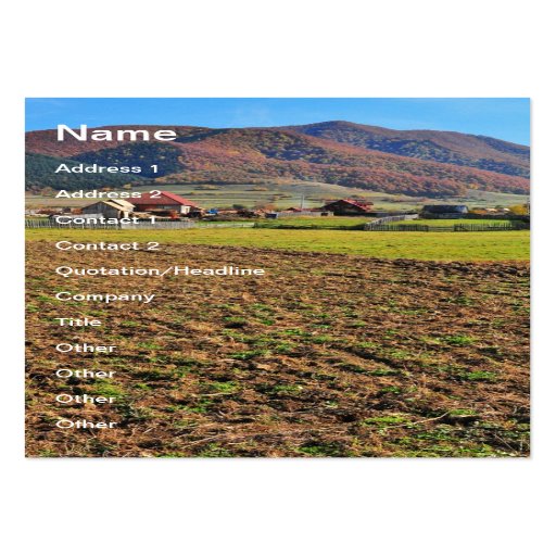 Romanian landscape business cards
