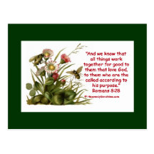 Romans 8:28 Bee Motif Postcards