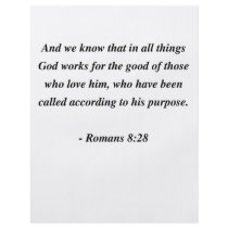 ROMANS 8:28 flyers